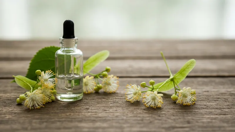 Fleur de tilleul : la sérénité retrouvée